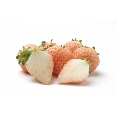2026年12月より順次発送　長野県産　紅白いちごのたべくらべセット　各1パック【400g】【配送不可地域：離島】【1705546】