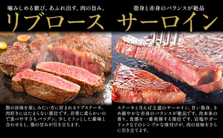 岡山県産牛 ステーキ サーロイン or リブ 交雑牛 500g お試し 大容量《60日以内に出荷予定(土日祝除く)》 岡山県 矢掛町 肉 ステーキ 高級部位 希少部位 グルメ お取り寄せグルメ