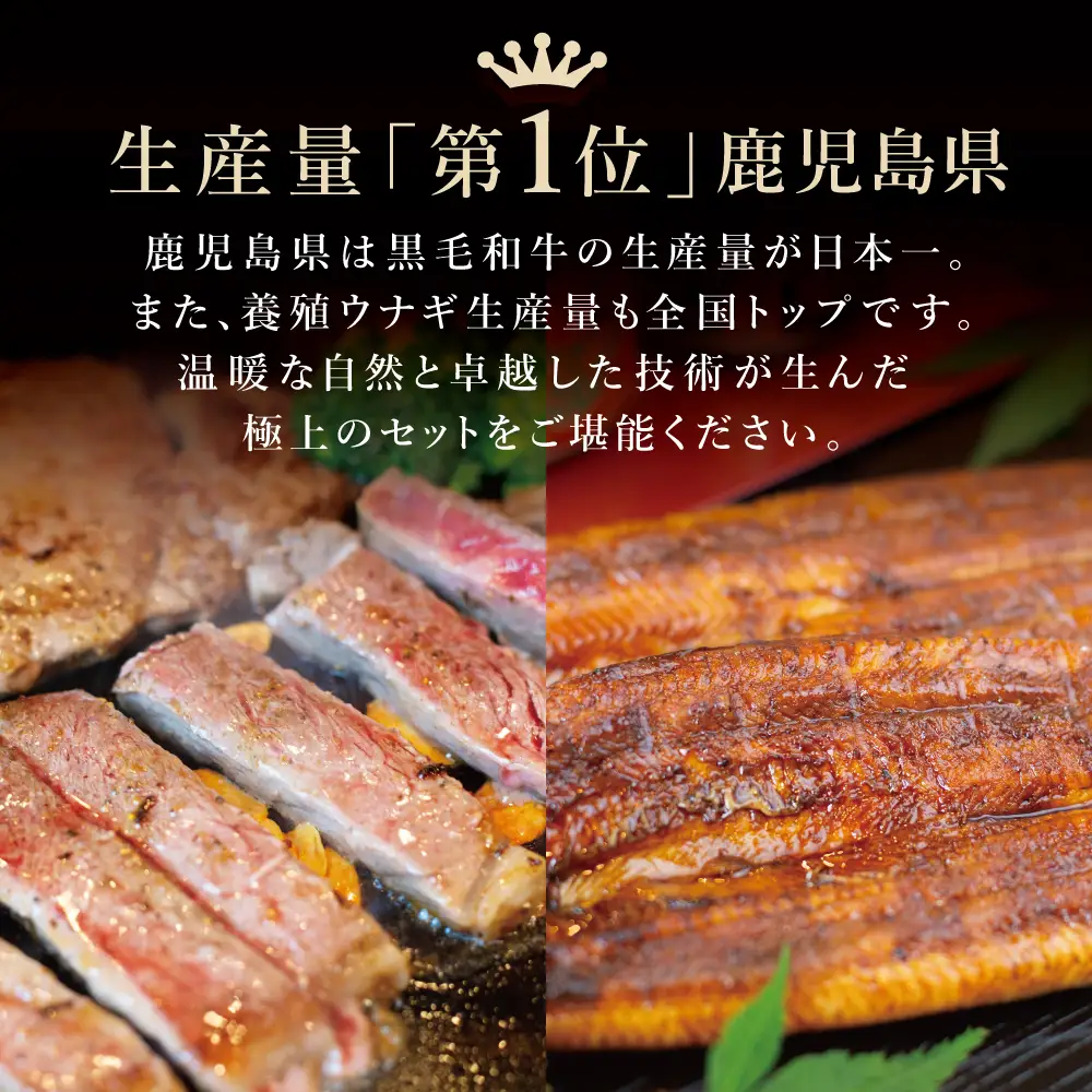鹿児島県産黒毛和牛サーロインステーキ＆国産うなぎ蒲焼き スタミナセット（同梱発送） 鹿児島県産黒毛和牛 牛肉 サーロイン 鰻 ギフト 贈答 冷凍 スターゼン