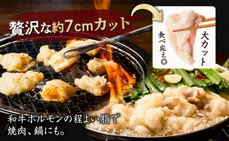 カット ホルモン K137-002 肉 牛 牛肉 冷凍