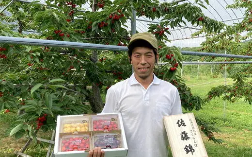 8-042-002　山口さんちのさくらんぼ 4種堪能セット 1.6kg