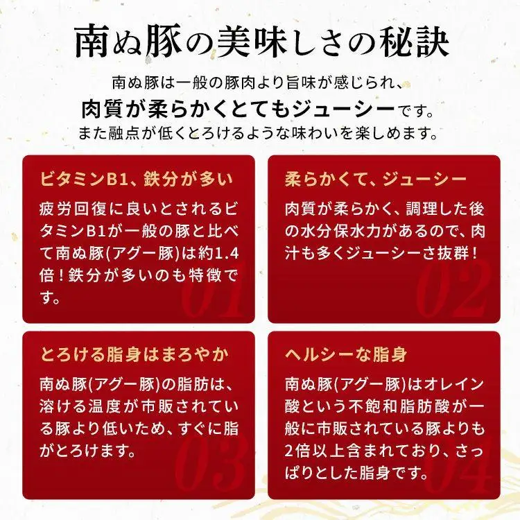 南ぬ豚焼成ハンバーグ 100g×6個