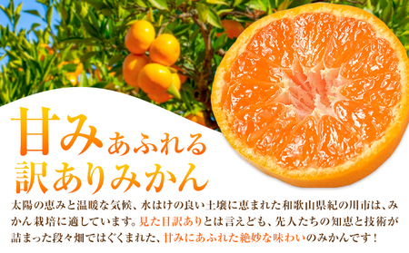訳ありみかん 5kg こだまファーム《10月中旬-2月下旬頃出荷》和歌山県 紀の川市 みかん ミカン 柑橘 果物 フルーツ 訳あり 訳アリ ご家庭用 和歌山県産