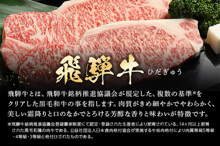飛騨牛 A5等級【冷蔵配送】プレミアムセット 豪華14品目 着日指定可 飛騨牛 焼豚