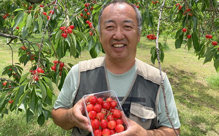 8-018-007　冨野果樹園のさくらんぼ南陽（2L～3L）800g