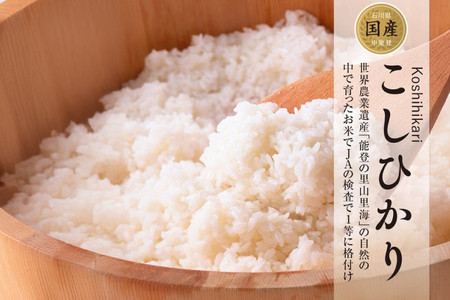 米 令和7年産 中能登町産 能登米コシヒカリ 5kg [道の駅織姫の里なかのと 石川県 中能登町 nk17amw270066]