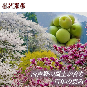 もみしそ 500g | 梅炭 パウダー 梅シソ 梅 ウメ うめ シソ しそ 紫蘇 有機 ふりかけ ごはん お供 トッピング お弁当 弁当 健康 調味料 | 奈良県 五條市