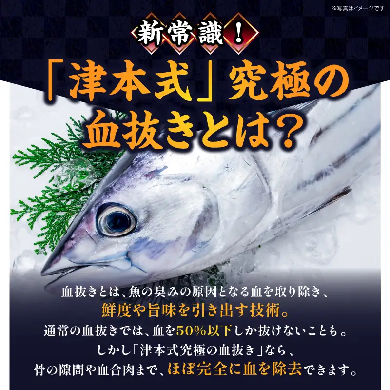 宮崎市獲れ！天然カツオのたたき カツオ タタキ 魚