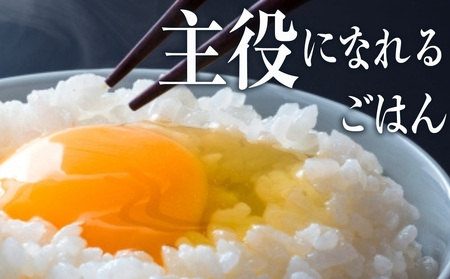 【定期便2ヵ月】北海道産 ななつぼし 白米 10kg（5㎏×2）