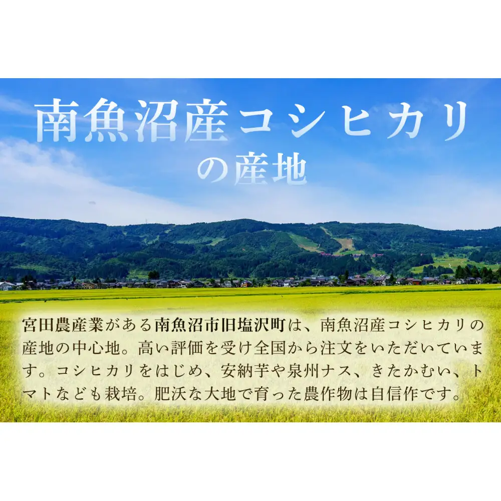 【令和8年産新米予約】南魚沼産こしひかり　みやた米5kg【銘柄米 ブランド米 精米 こしひかり コシヒカリ 魚沼産 新潟米 産地直送 お米 米 こめ コメ ご飯 御飯 ごはん】【2026年10月上旬より1ヶ月以内に順次発送予定】