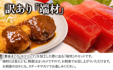 本まぐろ ヨコヅーナ 訳あり 本まぐろ 端材 1kg | 津久見市