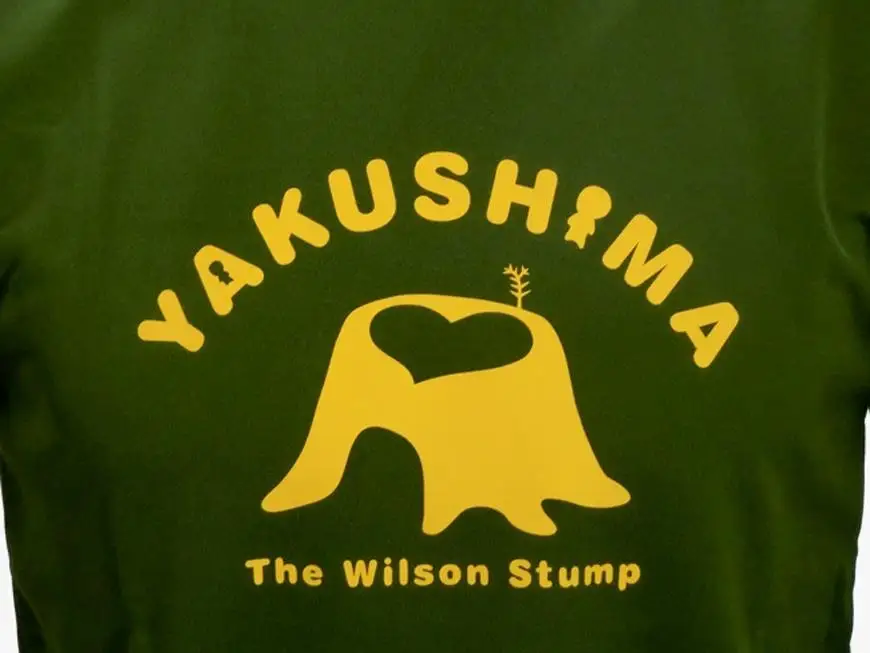 やくＴ（屋久島Ｔシャツ）・ウィルソンハート＜オリーブ／サイズM＞