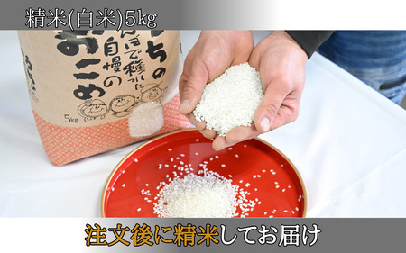 令和7年産 コシヒカリ 5kg 精米 福井県勝山市 平泉寺産｜甘い 艶 ふっくら 食味92点 山間地米 冷めても美味しい おにぎり・お弁当 [A-097001]