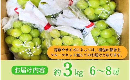 【2026年産】 シャインマスカット 3kg ぶどう 葡萄 ブドウ マスカット 果物 くだもの フルーツ デザート 旬の果物 旬のフルーツ 長野