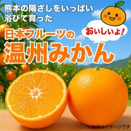 みかん 訳あり サイズミックス 3S～3L 約3kg(益城町)【1725654】