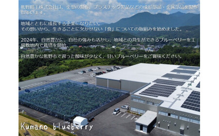 【先行受付】くまのブルーベリー 生果 600g(100g×6) フルーツ 果物 くだもの スムージー ジャム 朝食 デザート 特産品 人気 国産 旬 熊野精工 三重県 熊野市【kmsi0005】
