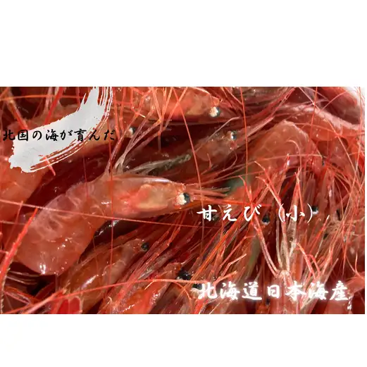 8-012-004　増毛産　獲れたての冷凍甘えび 1kg