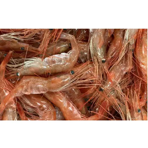 8-020-004　冷凍甘えび 1kg（70尾～90尾）