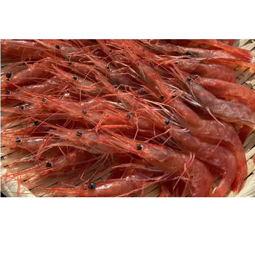 8-022-003　冷凍甘えび・しまえびセット 各500g