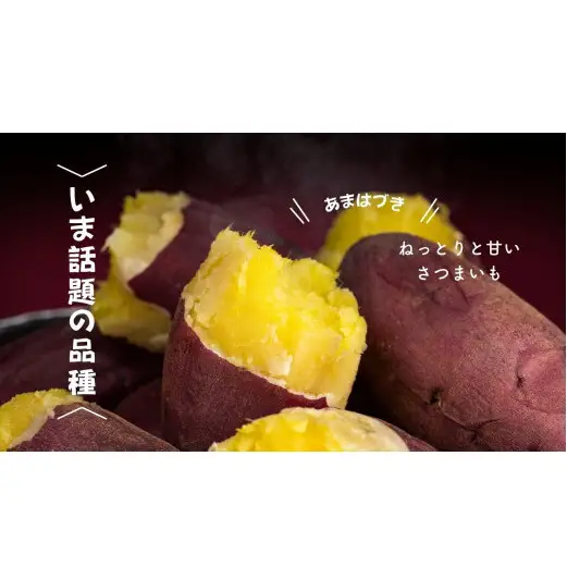 8-012-008　さつまいも（あまはづき）5kg【マルゼン佐藤果樹園】