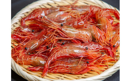 8-007-010　天然シマエビ 500ｇ （40尾前後）