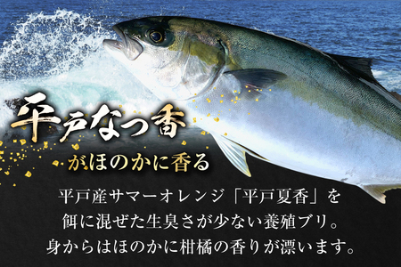 ぶり 刺身 平戸なつ香 ブリ 丸々 1匹 約4.5kg 3枚おろし アラ付き セット [坂野水産 長崎県 平戸市 hr42bgy420503]