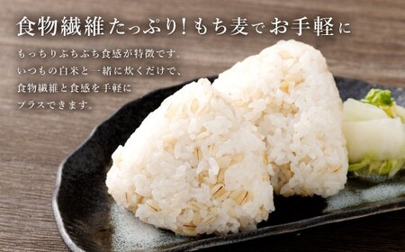 【はくばく】もち麦 800g×6袋 もち大麦 穀物 食物繊維 ご飯 ごはん 山梨県 中央市 送料無料