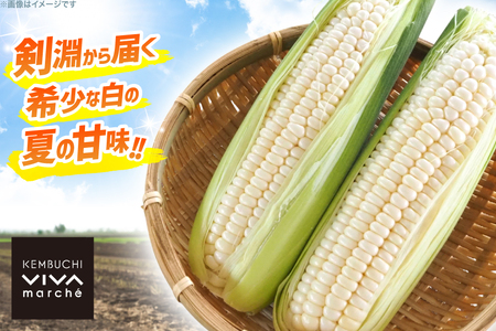 剣淵町産 ホイップコーン 10本 [けんぶちVIVAマルシェ 北海道 剣淵町 14656379]