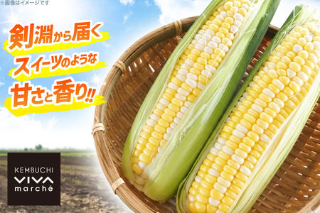 剣淵町産 ドルチェドリーム スイートコーン 10本 [けんぶちVIVAマルシェ 北海道 剣淵町 14656378]