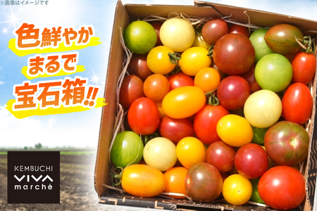 剣淵町産 カラフルミニトマト 1kg [けんぶちVIVAマルシェ 北海道 剣淵町 14656380]