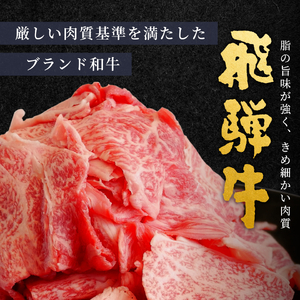 【5営業日以内発送】飛騨牛 切り落とし 500g(250g×2p) すき焼き 牛丼 炒め物 訳あり 肉のひぐち