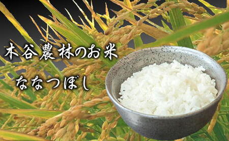8-090-002　増毛町産ななつぼし5kg×6ヶ月（10月～3月）【木谷農林】