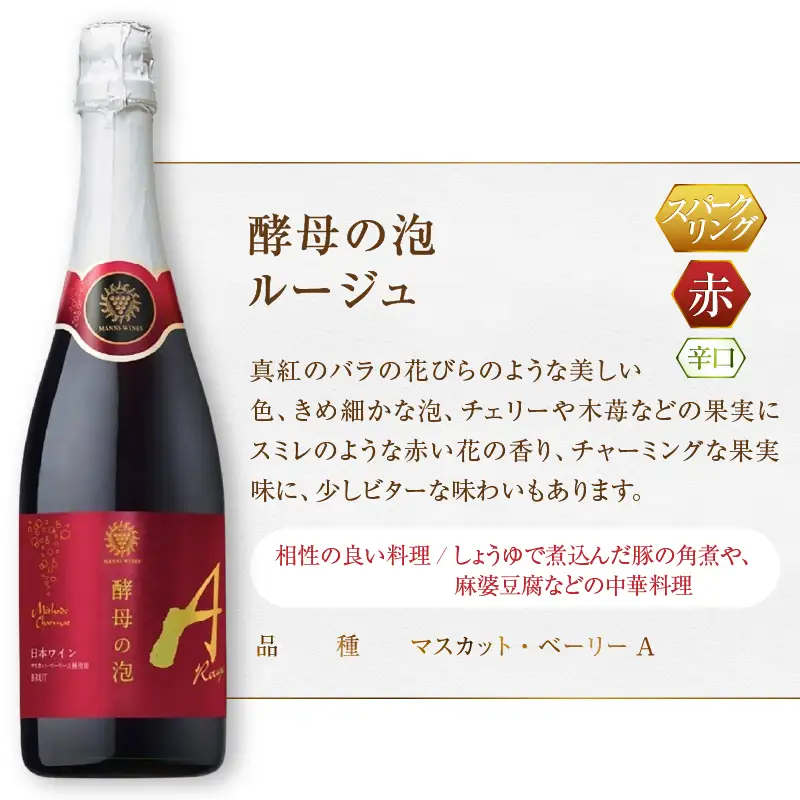 ワイン マンズワイン 飲み比べができるスパークリングワイン 赤 白 ロゼ5本セット（MG）E-627