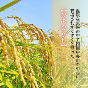 愛媛県産ひのひかり10kg
