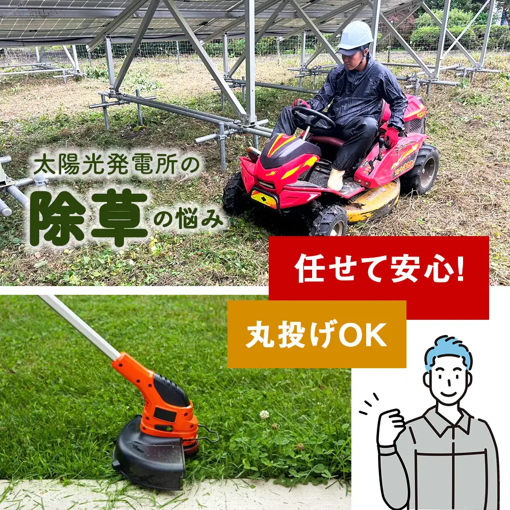 太陽光発電所 除草作業（低圧）