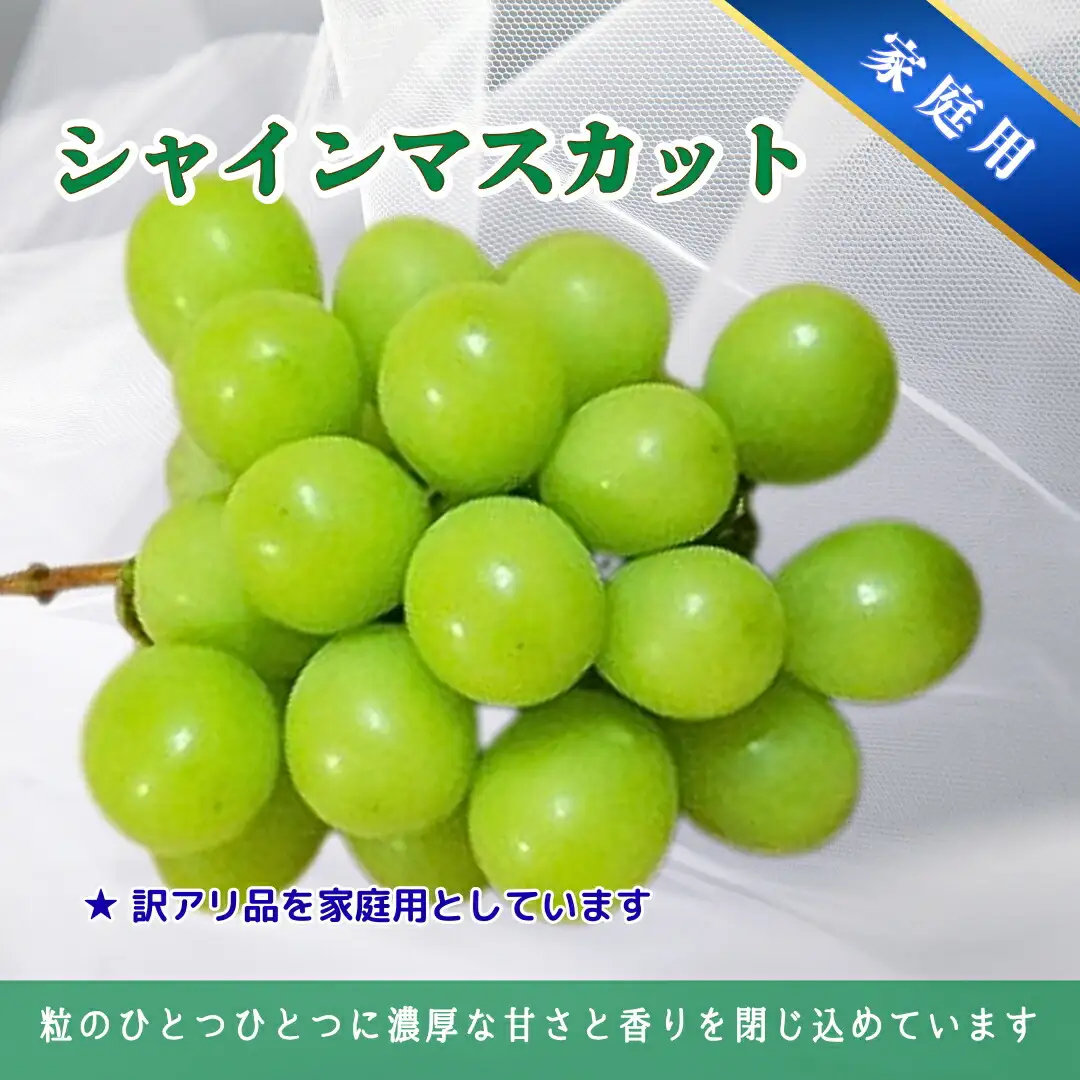 【2026年先行予約】家庭用 シャインマスカット＆クイーンルージュ® 約2kg(3~5房)｜ シャインマスカット