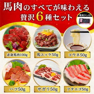 【阿蘇牧場】厳選 馬肉 盛り合わせ 6種 350g 赤身 フタエゴ ハツ サガリ ユッケ コウネ 特許製法 氷温熟成 低温調理 レア 小分け 焼くだけ簡単 専用醤油 タレ付 真空パック 熊本 小国町 最大3ヶ月以内出荷