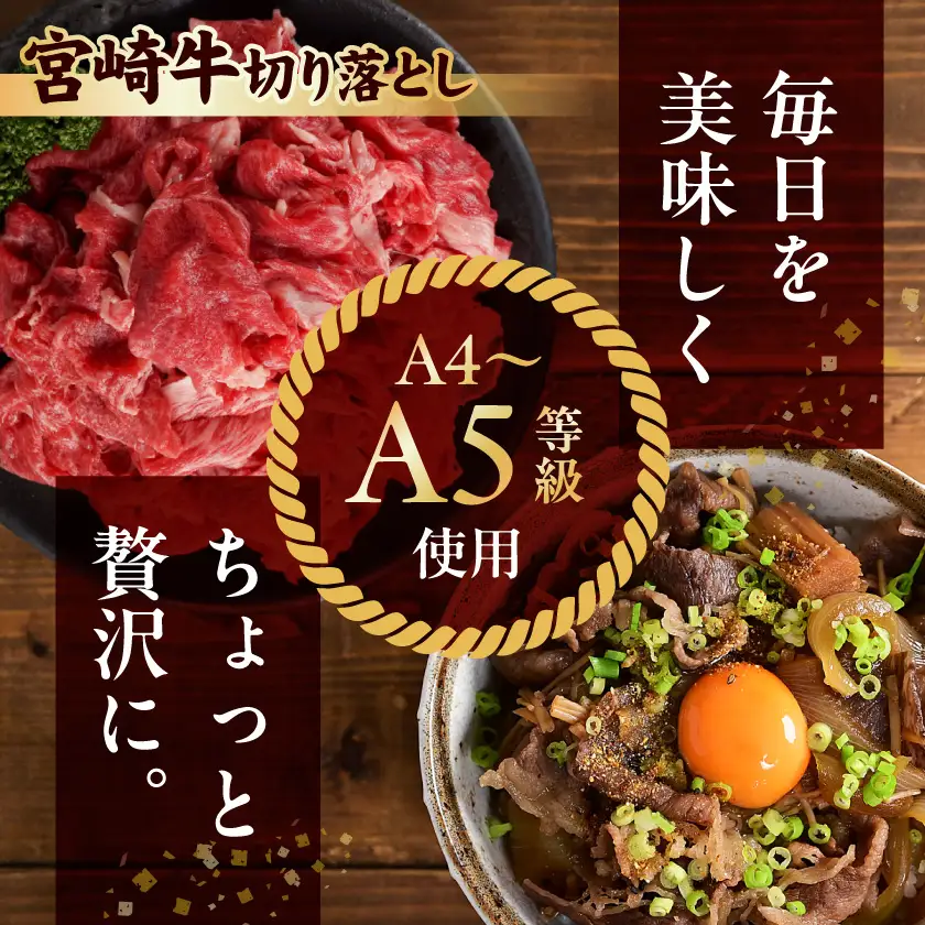 宮崎牛切り落とし1kg(500g×2パック)〔14-N4-004-1kg〕(都城市) 宮崎牛 黒毛和牛 A4～A5等級 切り落とし 炒め物