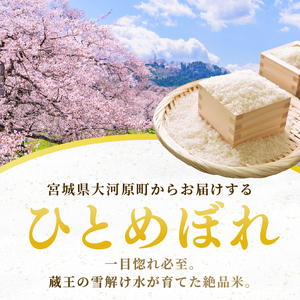 ひとめぼれ 定期便2回/5kg×2袋 令和8年産 新米 先行予約 宮城県産 米 精米 白米