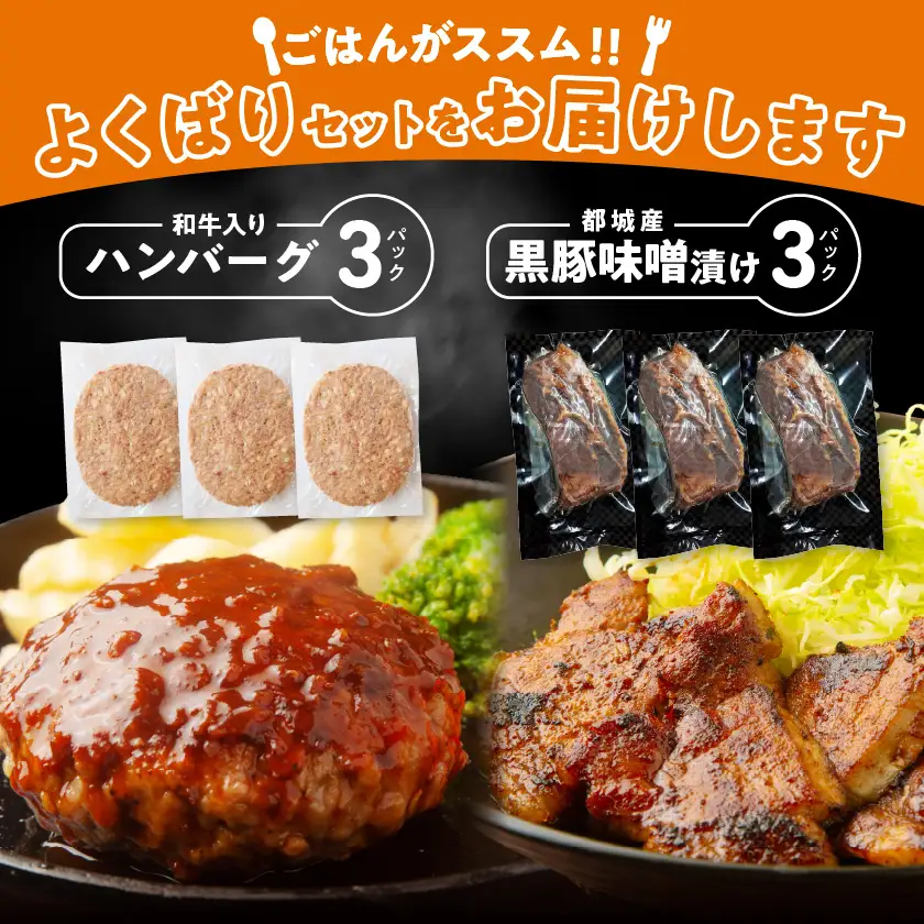 和牛入りハンバーグ&黒豚味噌漬けセット〔AA-N4-007〕_(都城市) 宮崎県産和牛・豚肉 ハンバーグ 黒豚ロースみそ漬け