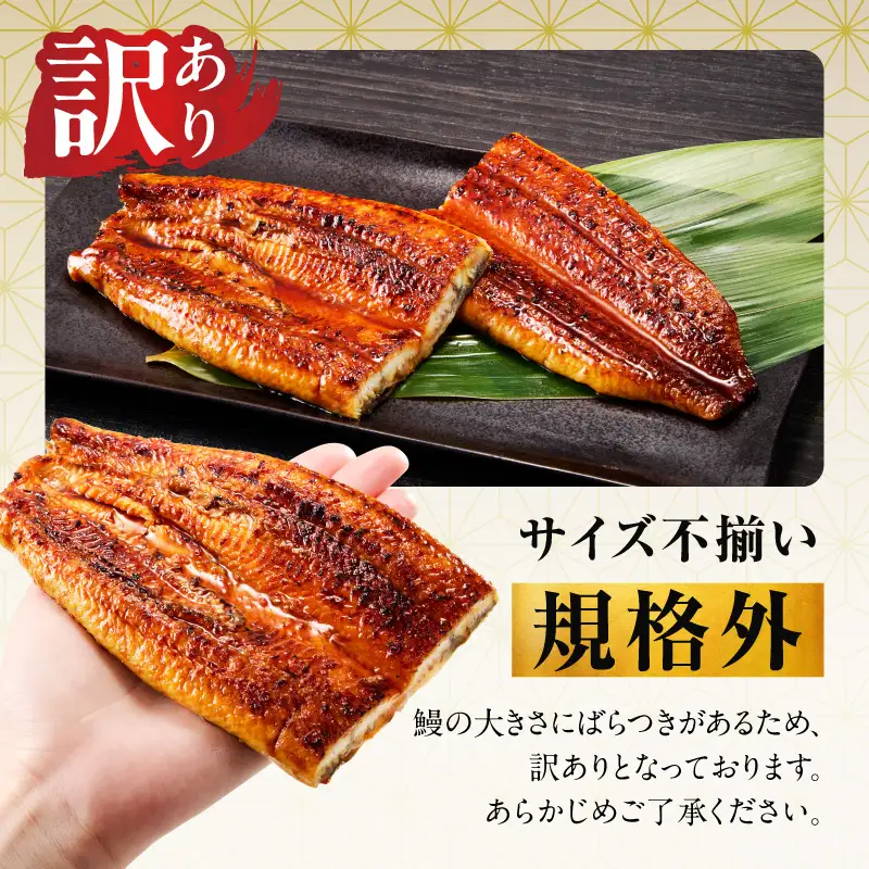 【規格外】うなぎ 暴れ盛り 250g（2カット）