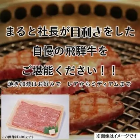 【飛騨牛】赤身焼肉用　400g×3p　(合計1.2kg)【配送不可地域：離島】【1726922】
