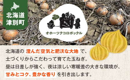 R8年産 玉ねぎ （L玉・М玉混合） 10kg オホーツクコロポックル | 北海道津別町