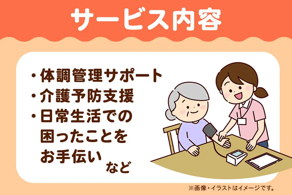 支援 看護師の日常生活支援・見守りサービス　遠距離介護の代行サービス 1時間 3回 レターパックライトでお届け 八郎潟