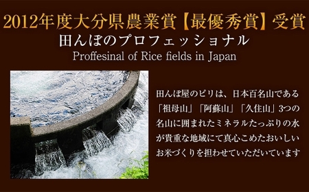 【 人気の2銘柄を食べ比べ！ 】 厳選国産米 2種セット 【 ひとめぼれ × なつほのか 】 （ 各5kg 計10kg ）
