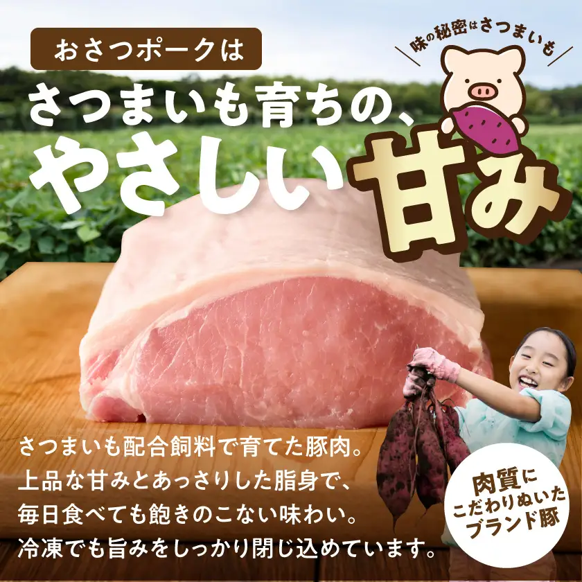 「おさつポーク」小間切れ&ミンチ3.9kgセット(真空)_18-14-002-3900g_(都城市) 豚肉 小分け 真空 小間切れ ミンチ 栗山ノーサン 肉 ポーク 国産 ブランド豚 脂身 甘い