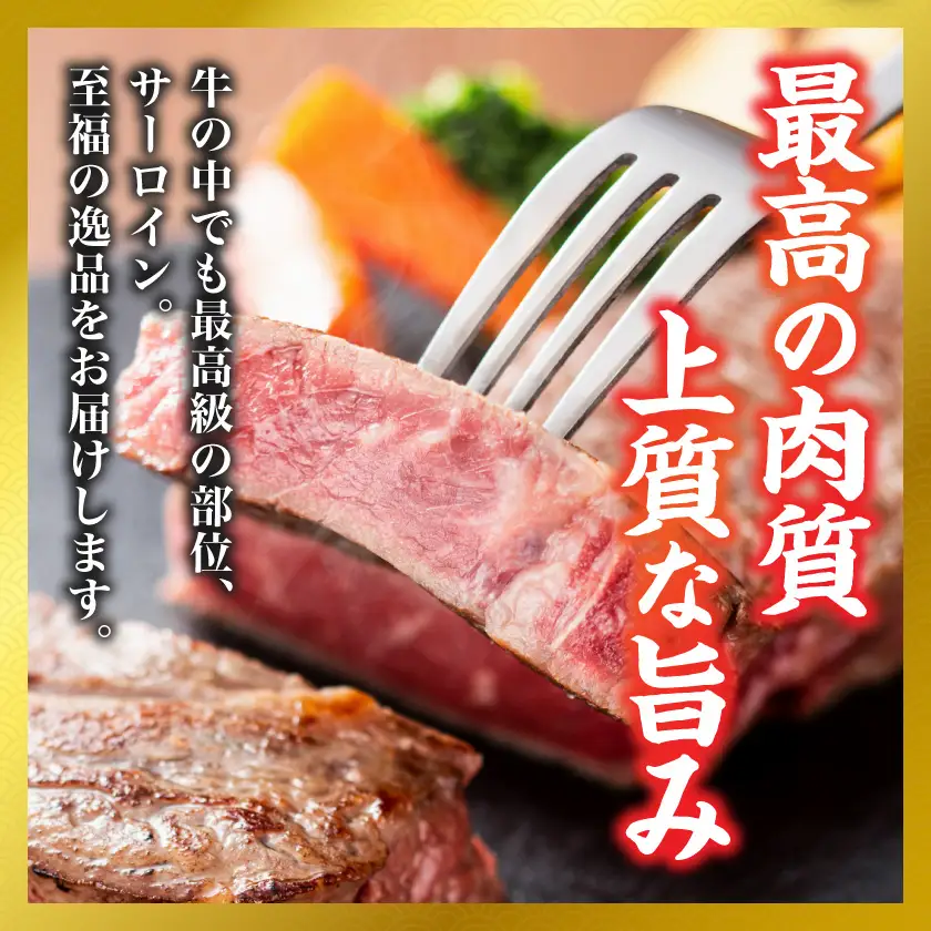 【和牛枝肉共励会牛】(A5)宮崎牛サーロインブロック1kg_AI-25-005_(都城市) 宮崎県 宮崎牛 サーロイン ロース 1000gブロック ステーキ 真空 品評会出展牛 特別セット