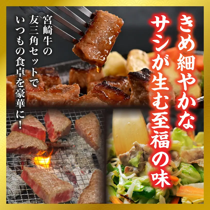 【和牛枝肉共励会牛】(A5)宮崎牛友三角セット〔18-25-009〕_(都城市) 宮崎県 宮崎牛 友三角 モモ ステーキ サイコロ 赤身 ウデ・モモ 切り落とし 真空 品評会出展牛 特別セット
