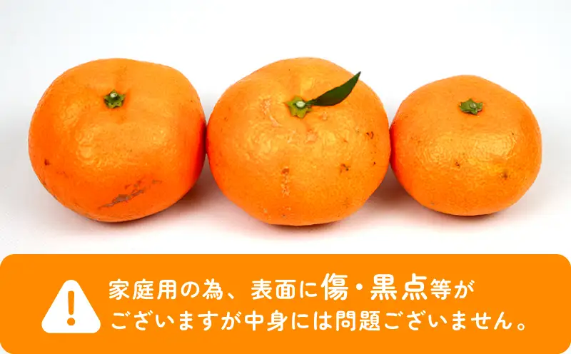 家庭用 南柑20号 約10kg まるはま農園 甘い 美味しい 先行予約 温州 みかん うんしゅう 温州みかん 愛媛ミカン 愛媛蜜柑 みかん 蜜柑 mikan 果物 くだもの フルーツ 柑橘 数量限定 産地直送 国産 愛媛 宇和島 B015-202001