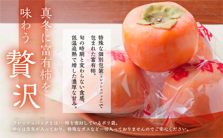 [先行予約]《柿の王様》 加藤果樹園 のフレッシュパック富有柿 Mサイズ16個入り 低温熟成 選べる 12月～ 1月上旬 2月上旬発送予定 [mt2062]｜かき 富有柿 ふゆうがき フルーツ カキ 果物 くだもの 産地直送 岐阜県 本巣市 R8年産